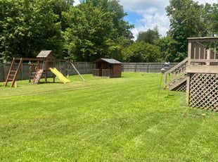 Nick L.'s lawn care service result