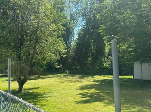 Katelynn D.'s grass maintenance service result