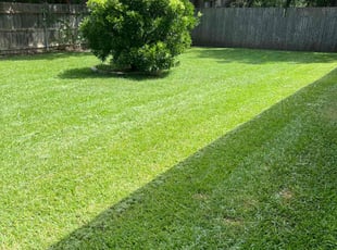 Mark W.'s grass maintenance service result