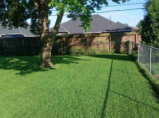 Lea L.'s grass maintenance service result