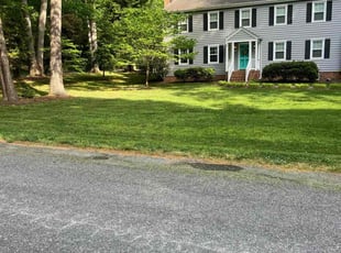 Emily C.'s lawn service service result