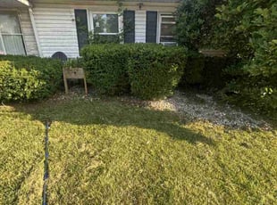Jamie H.'s Bush Trimming service result