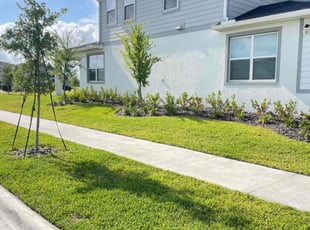 Kim R.'s lawn service service result