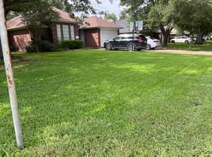 "Armenda D.'s grass cutting service result