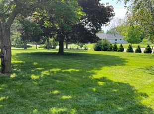 Lisa P.'s turf care service result