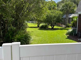 Lorraine M.'s grass maintenance service result