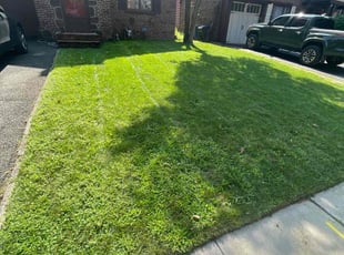 Randolph W.'s grass cutting service result