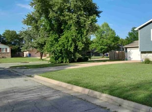 Dong N.'s turf maintenance service result