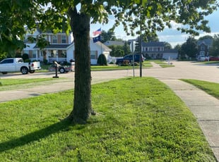 Istvan F.'s lawn maintenance service result