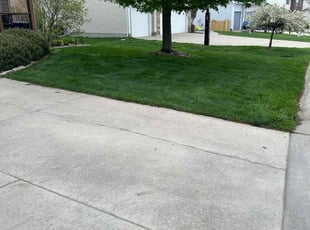 Mary S.'s grass cutting service result