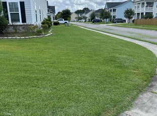 Laura K.'s grass cutting service result