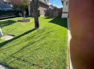 Paul M.'s grass maintenance service result