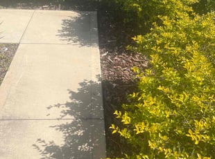 Breelyn Z.'s Flower Bed Weeding service result