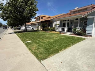 Irma K.'s lawn care services service result