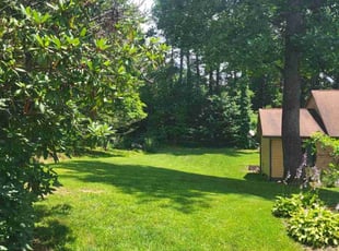 Ravine T.'s lawn service service result