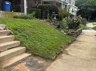Tanya S.'s lawn service service result