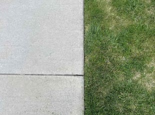 Ted M.'s grass maintenance service result