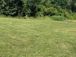 Ms C.'s grass maintenance service result