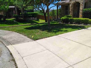 Tracy C.'s lawn service service result