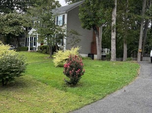 Lashae H.'s lawn service service result
