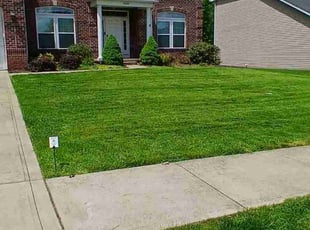 Abood A.'s yard service service result