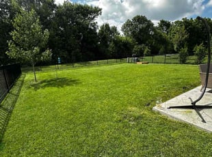 Tim O.'s residential landscaping service result