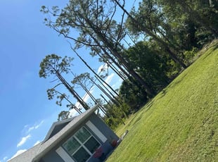 Tamara R.'s lawn care service result