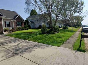 Bennethorn H.'s grass maintenance service result