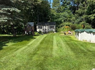 Don H.'s turf care service result