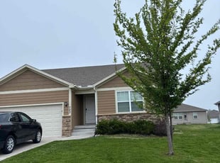 Eric H.'s grass maintenance service result