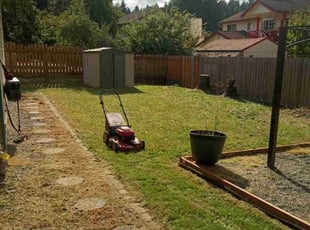 Demarr G.'s lawn maintenance service result