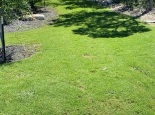 Judy S.'s lawn care services service result