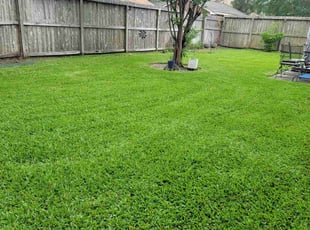 Karen B.'s lawn maintenance service result