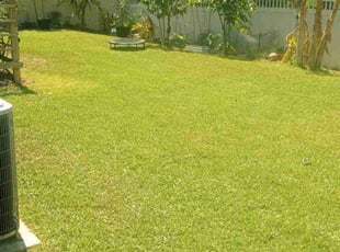 Erica W.'s lawn care services service result