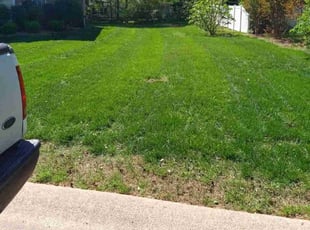 Jessica G.'s grass cutting service result