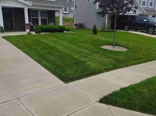 Daniel R.'s lawn maintenance service result