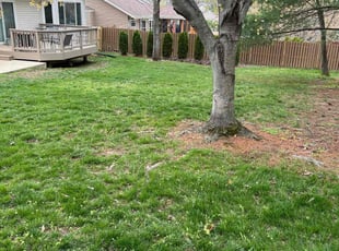 Rick H.'s landscaping services service result