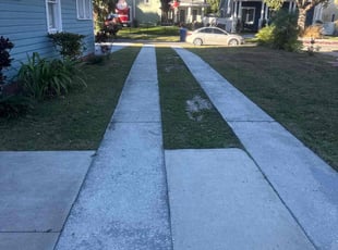 Patricia A..'s lawn service service result