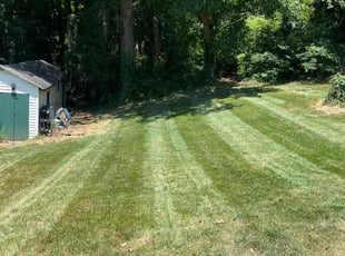 Helen H.'s lawn service service result