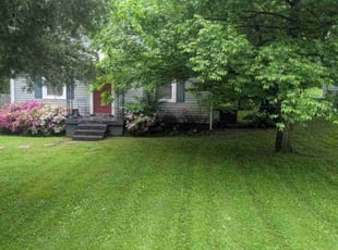Alexis W.'s lawn care services service result