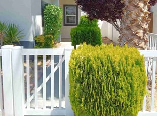Logan B.'s Bush Trimming service result