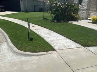 Kenyetta C.'s grass cutting service result