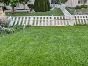Priscilla G.'s lawn maintenance service result