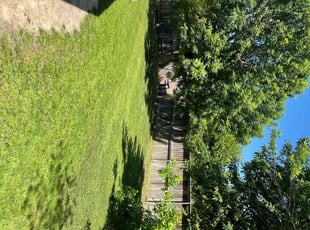 Kathy V.'s lawn care service result