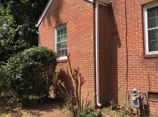 Lennitta B.'s Bush Trimming service result