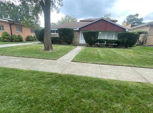 Daniel M.'s lawn maintenance service result