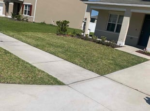 Vasuki N.'s grass cutting service result