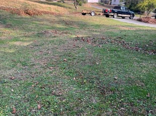 Connie E.'s Leaf Removal service result