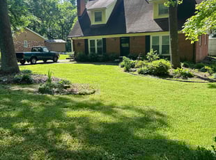 Roshaun A.'s lawn care service result