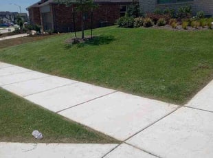 Valorie S.'s turf maintenance service result